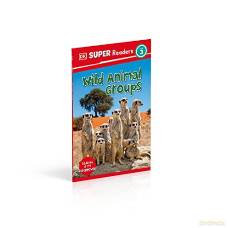 Wild Animal Groups Level 3 [KSIĄŻKA]