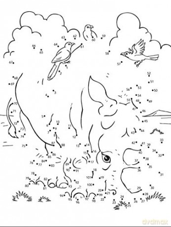 Wild Animals Dot To Dot Fun - Arkady Roytman [KSIĄŻKA]