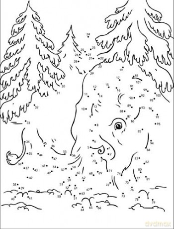 Wild Animals Dot To Dot Fun - Arkady Roytman [KSIĄŻKA]