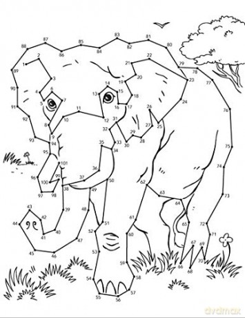 Wild Animals Dot To Dot Fun - Arkady Roytman [KSIĄŻKA]