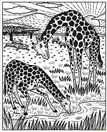 Wild Animals Magic Painting Book - Abigail Wheatley [KSIĄŻKA]