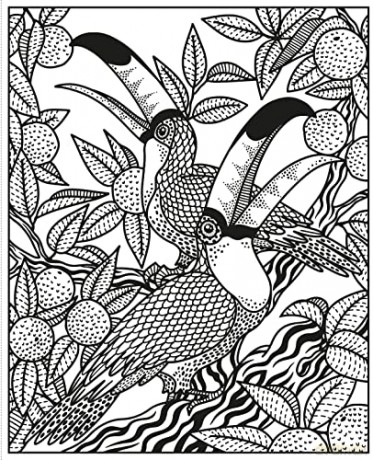 Wild Animals Magic Painting Book - Abigail Wheatley [KSIĄŻKA]