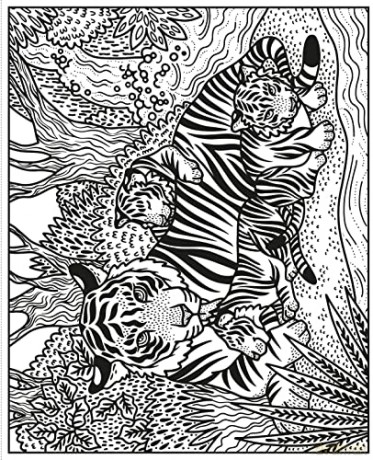 Wild Animals Magic Painting Book - Abigail Wheatley [KSIĄŻKA]
