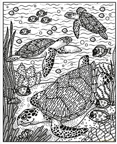 Wild Animals Magic Painting Book - Abigail Wheatley [KSIĄŻKA]