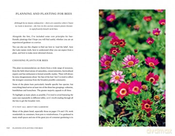 Wild Bee Handbook - S Wyndham Lewis [KSIĄŻKA]