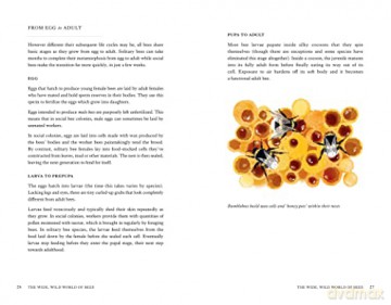 Wild Bee Handbook - S Wyndham Lewis [KSIĄŻKA]