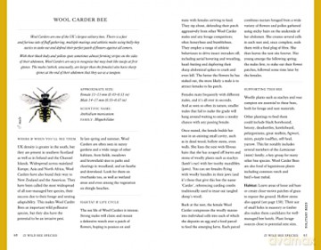 Wild Bee Handbook - S Wyndham Lewis [KSIĄŻKA]