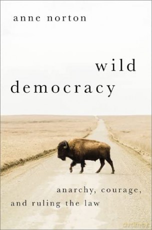 Wild Democracy [KSIĄŻKA]