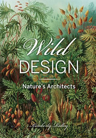 Wild Design - Kimberly Ridley [KSIĄŻKA]