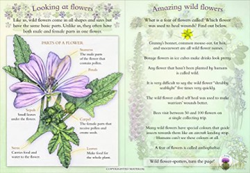 Wild Flowers [KSIĄŻKA]