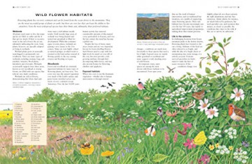 Wild Flowers Flora The World Encyclopedi - Mick Lavelle [KSIĄŻKA]