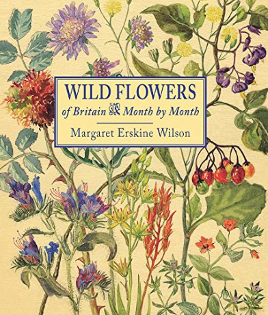 Wild Flowers Of Britain - Margaret Wilson [KSIĄŻKA]