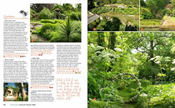 Wild Garden Weekends - Tania Pascoe [KSIĄŻKA]