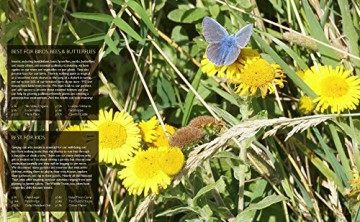 Wild Garden Weekends - Tania Pascoe [KSIĄŻKA]