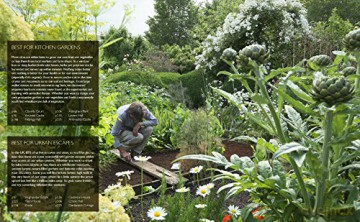 Wild Garden Weekends - Tania Pascoe [KSIĄŻKA]