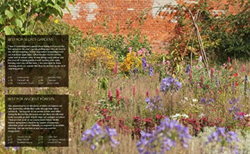 Wild Garden Weekends - Tania Pascoe [KSIĄŻKA]