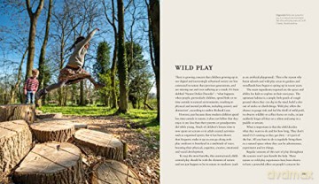 Wild Gardens - Stephanie Mahon [KSIĄŻKA]