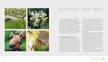 Wild Gardens - Stephanie Mahon [KSIĄŻKA]