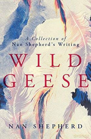 Wild Geese - Nan Shepherd [KSIĄŻKA]