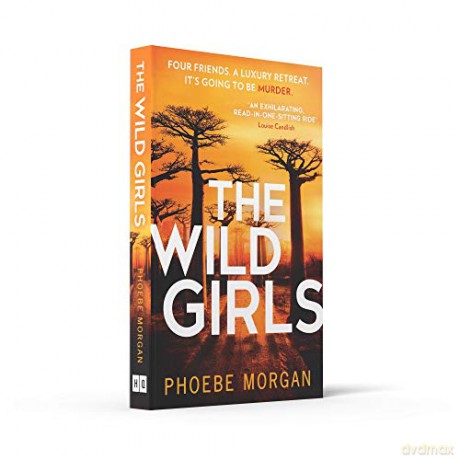 Wild Girls - Phoebe Morgan [KSIĄŻKA]