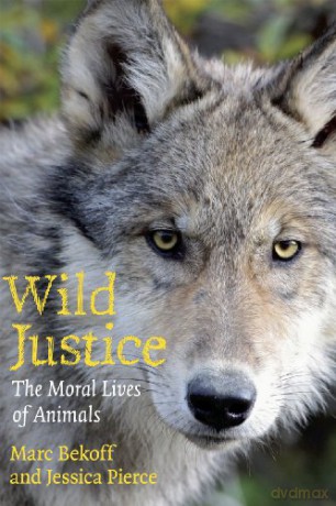 Wild Justice :The Moral Lives Of Animals - Max Bekoff [KSIĄŻKA]