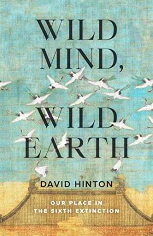 Wild Mind Wild Earth - David Hinton [KSIĄŻKA]