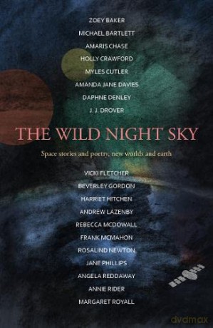 Wild Night Sky - Harriet Hitchen [KSIĄŻKA]