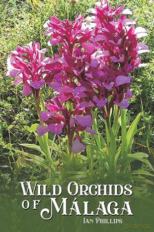 Wild Orchids Of Mlaga - Ian Phillips [KSIĄŻKA]