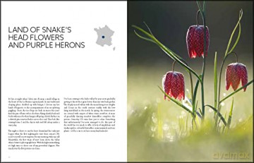 Wild Places Of Europe - Wouter Pattyn [KSIĄŻKA]
