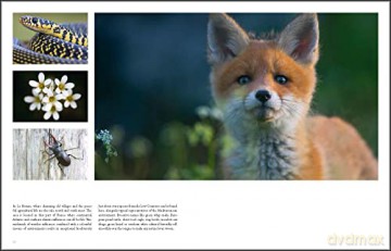 Wild Places Of Europe - Wouter Pattyn [KSIĄŻKA]
