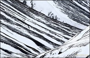 Wild Places Of Europe - Wouter Pattyn [KSIĄŻKA]