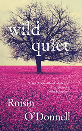 Wild Quiet - Roisin O'donnell [KSIĄŻKA]