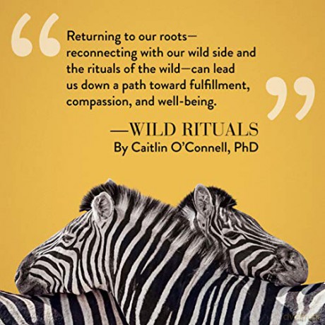Wild Rituals - Caitlin O'connell [KSIĄŻKA]