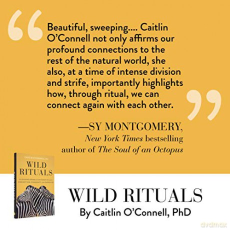 Wild Rituals - Caitlin O'connell [KSIĄŻKA]