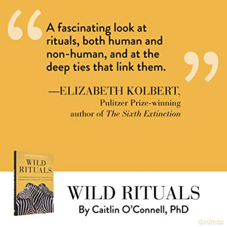 Wild Rituals - Caitlin O'connell [KSIĄŻKA]
