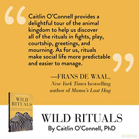 Wild Rituals - Caitlin O'connell [KSIĄŻKA]