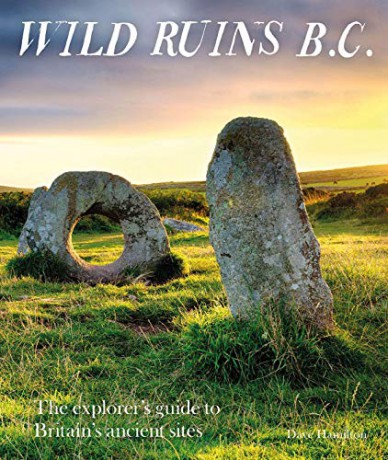 Wild Ruins Bc - Dave Hamilton [KSIĄŻKA]