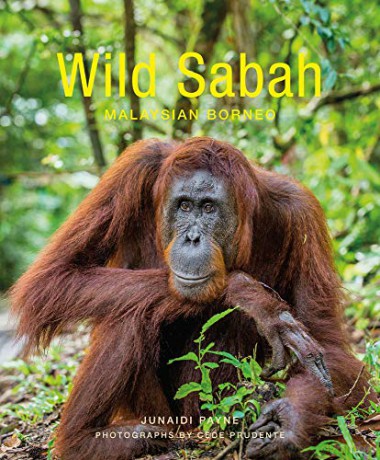 Wild Sabah - Junaidi Payne [KSIĄŻKA]