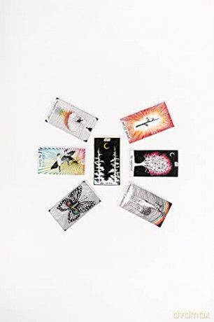 Wild Unknown Pocket Tarot Hb - Krans Kim [KSIĄŻKA]