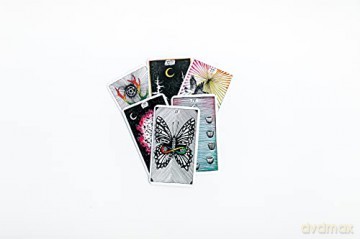 Wild Unknown Pocket Tarot Hb - Krans Kim [KSIĄŻKA]