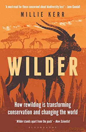 Wilder - Millie Kerr [KSIĄŻKA]