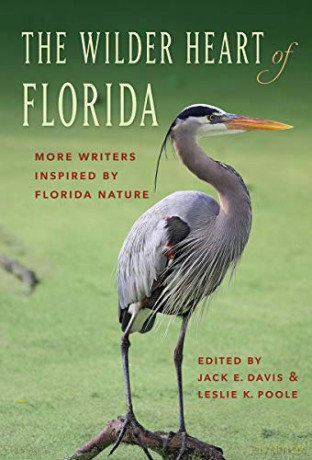 Wilder Heart Of Florida The - Jack E. Davis [KSIĄŻKA]