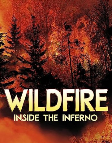 Wildfire Inside The Inferno - Jaclyn Jaycox [KSIĄŻKA]