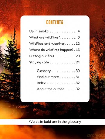 Wildfires - Jaclyn Jaycox [KSIĄŻKA]