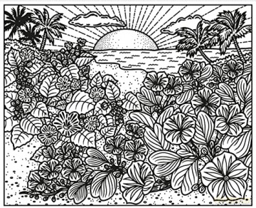 Wildflowers Magic Painting Book - Micaela Tapsell [KSIĄŻKA]