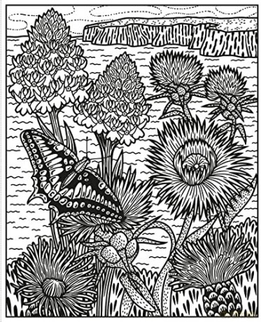 Wildflowers Magic Painting Book - Micaela Tapsell [KSIĄŻKA]