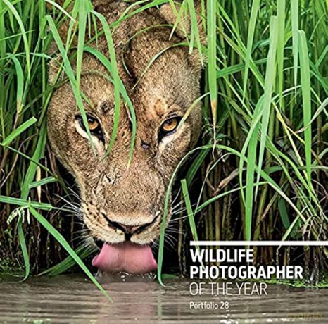 Wildife Photographer Of The Year - Rosamund Kidman Cox [KSIĄŻKA]