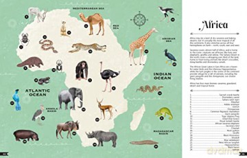 Wildlife Compendium Of The World - Tania Mccartney [KSIĄŻKA]