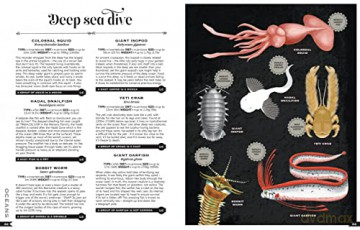 Wildlife Compendium Of The World - Tania Mccartney [KSIĄŻKA]