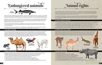 Wildlife Compendium Of The World - Tania Mccartney [KSIĄŻKA]